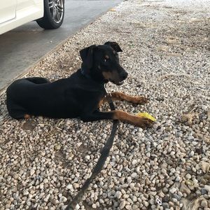 Meet your Posher, Lealie